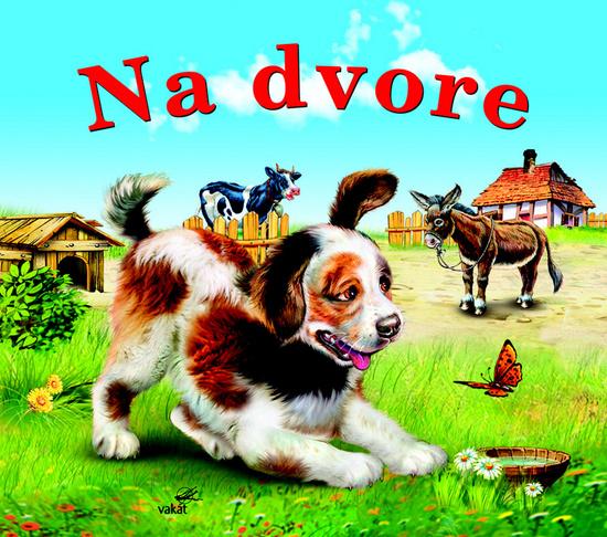Na dvore - 978-80-7267-439-8