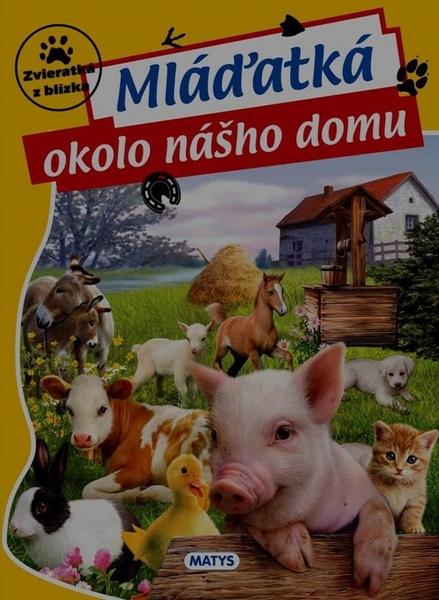 Mláďatká okolo nášho domu - 978-80-8088-536-6