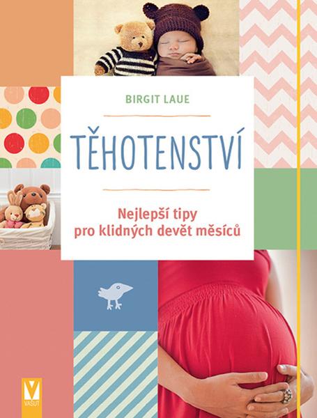 Těhotenství - 978-80-7236-993-5