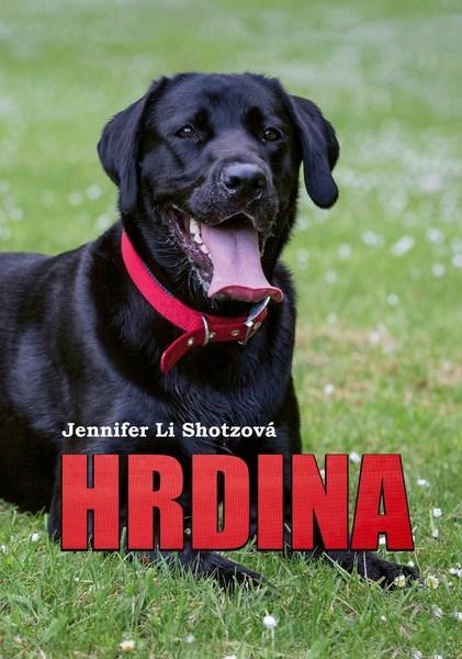 Hrdina - 978-80-264-1884-9