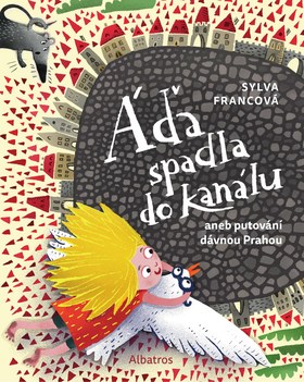 Áďa spadla do kanálu - 978-80-00-05043-0