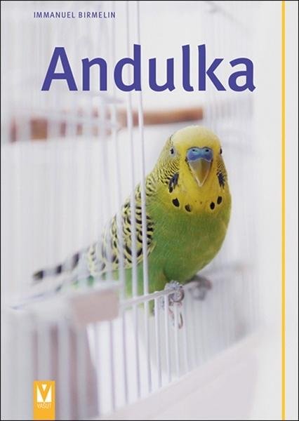 Andulka - 978-80-7541-145-7