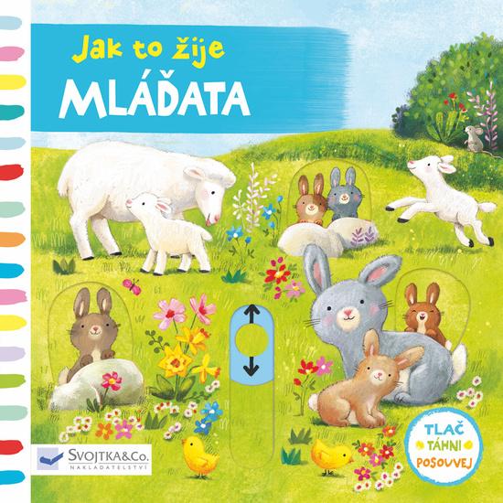 Levně Jak to žije Mláďata