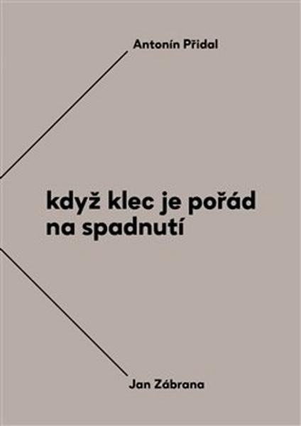 Když klec je pořád na spadnutí - 978-80-7215-563-7