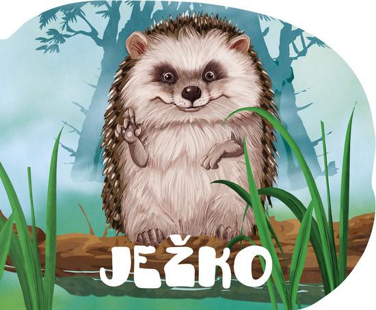 Levně Ježko