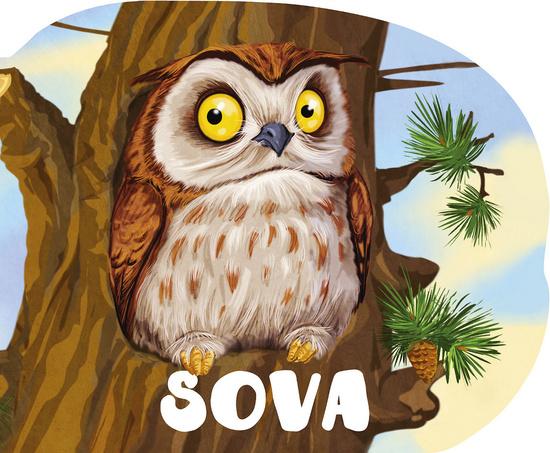 Levně Sova