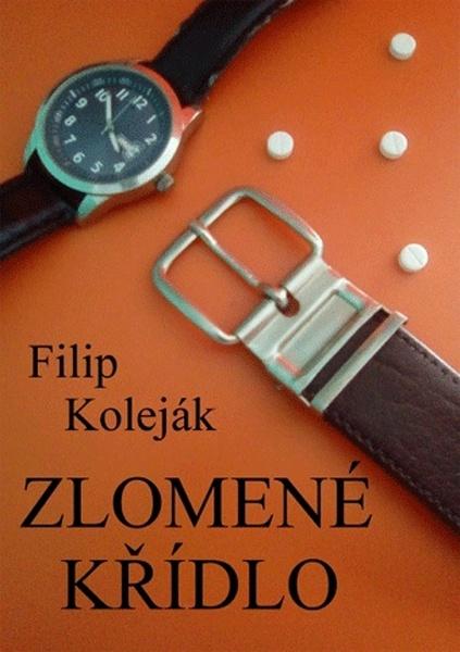 Levně Zlomené křídlo
