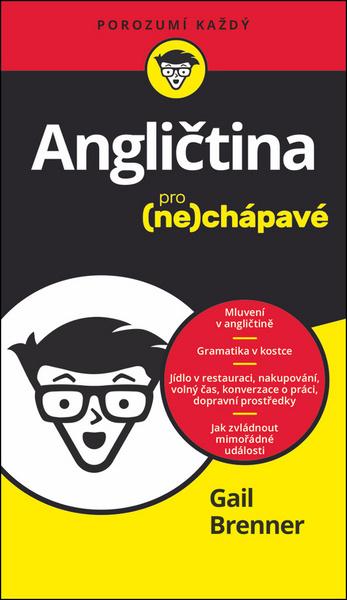 Levně Angličtina pro (ne)chápavé