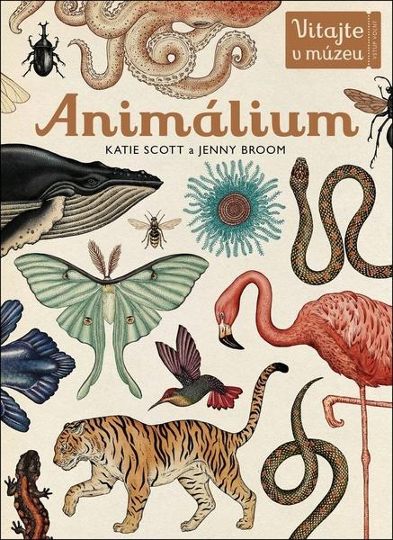 Animálium - 978-80-8109-353-1