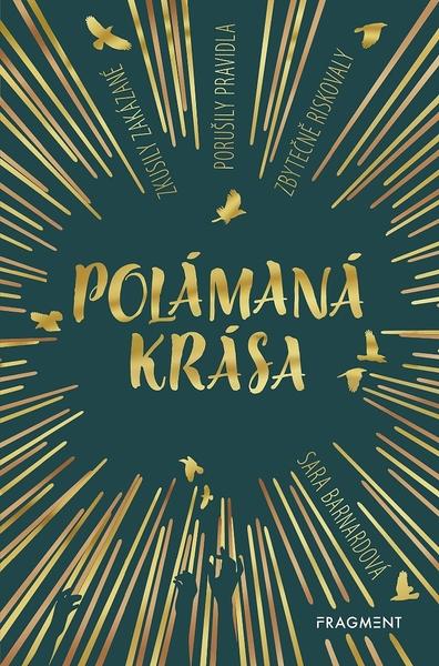 Polámaná krása - 978-80-253-3879-7