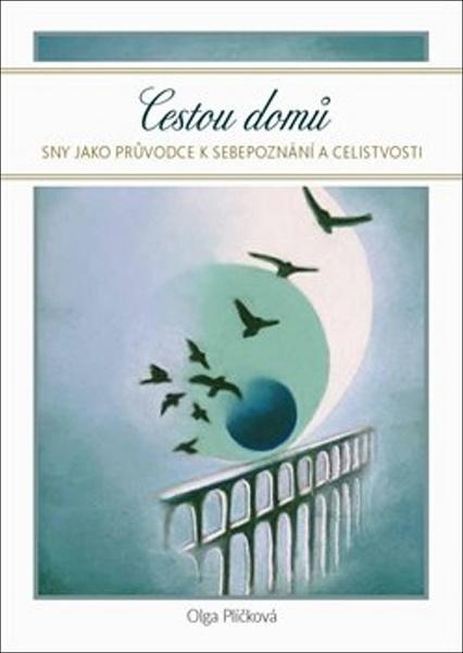 Cestou domů - 978-80-7551-086-0