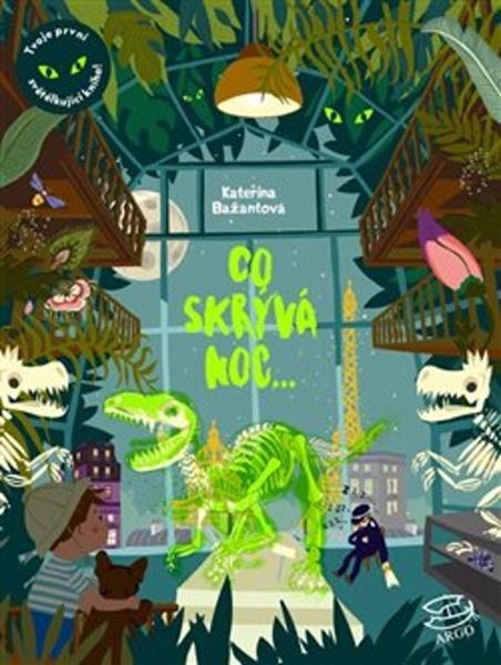 Co skrývá noc - 978-80-257-2537-5
