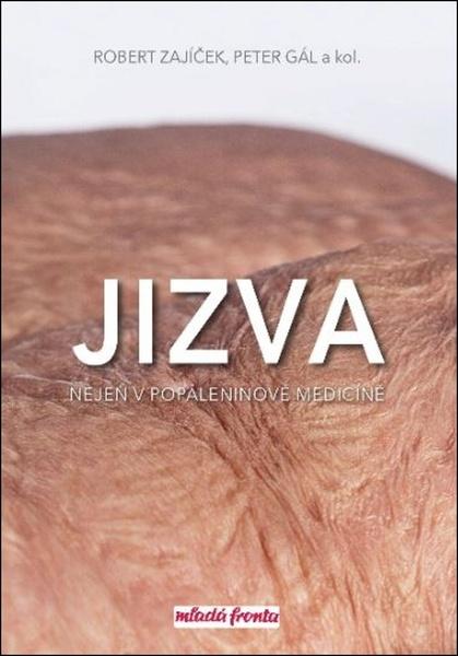 Robert Zajíček Jizva nejen v popáleninové medicíně - 978-80-204-4721-0