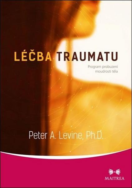Léčba traumatu - 978-80-7500-404-8
