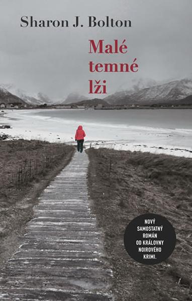 Malé temné lži - 978-80-7498-308-5