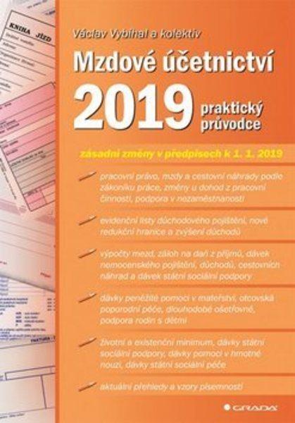 Mzdové účetnictví 2019 - 978-80-271-2246-2