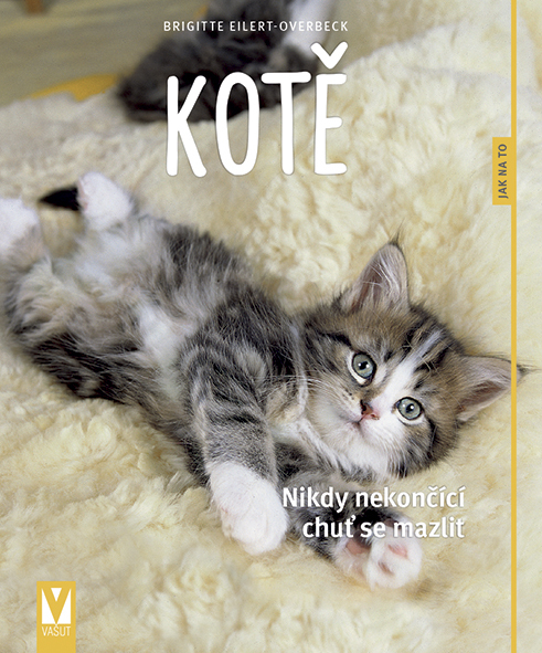 Kotě - 978-80-7541-194-5