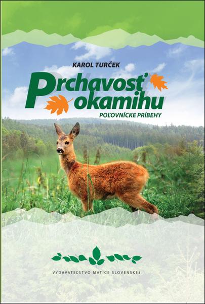 Prchavosť okamihu - 978-80-8115-284-9