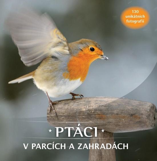 Levně Ptáci v parcích a zahradách