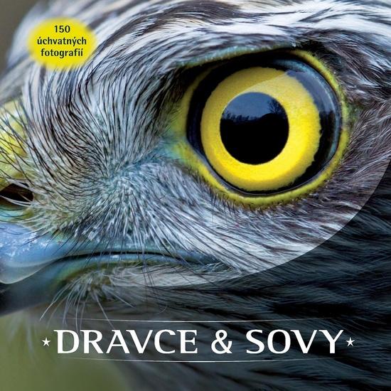 Levně Dravce a sovy