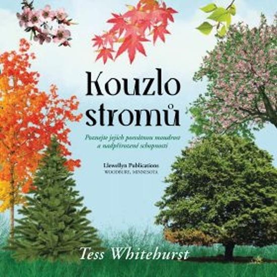 Kouzlo stromů - 978-80-7585-542-8