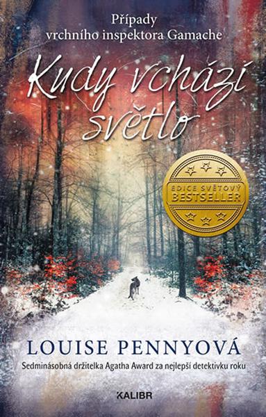 Kudy vchází světlo - 978-80-7617-292-0