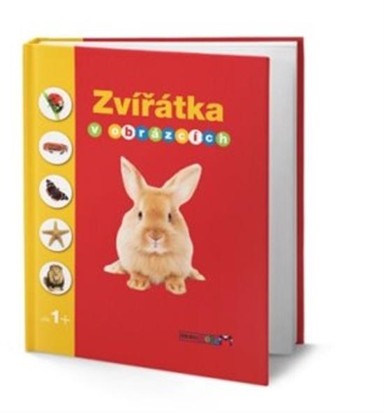 Zvířátka v obrázcích - 978-80-255-1087-2