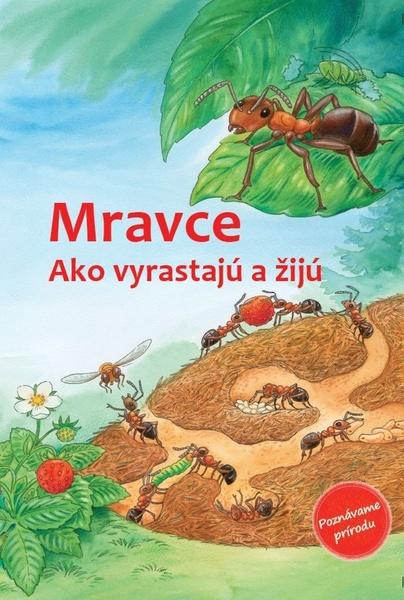 Levně Mravce