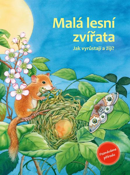 Malá lesní zvířata - 978-80-88213-96-3