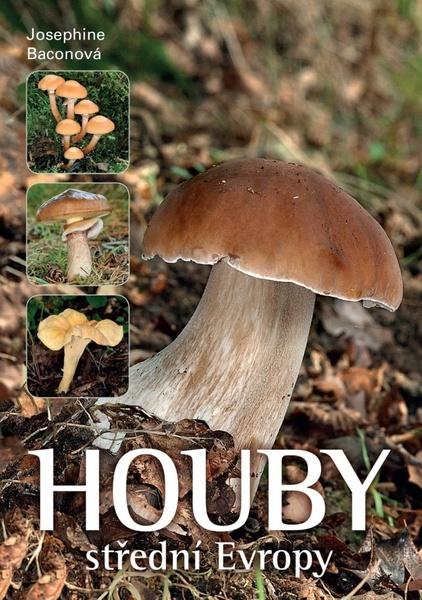 Levně Houby střední Evropy