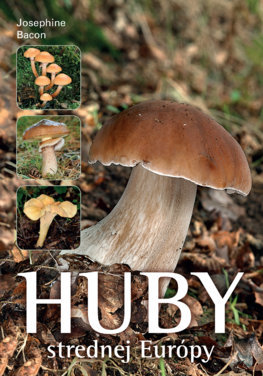 Huby strednej Európy - 978-80-556-1352-9
