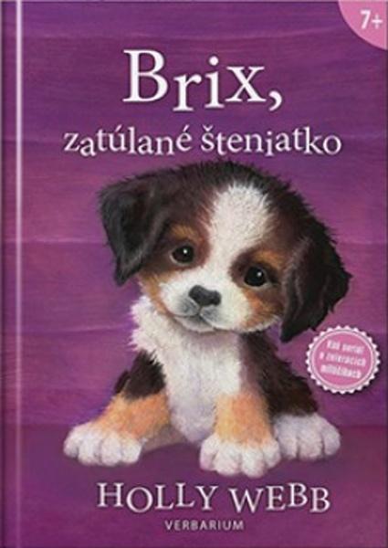 Brix, zatúlané šteniatko - 978-80-89956-50-0