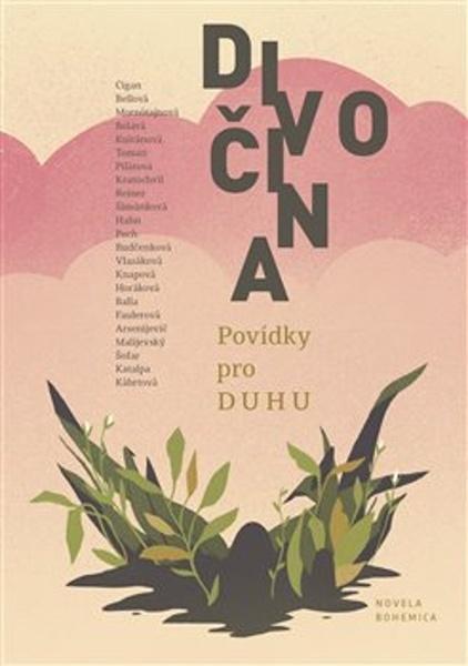 Divočina - 978-80-87683-98-9
