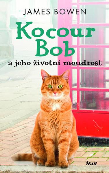 Kocour Bob - 978-80-249-3931-5