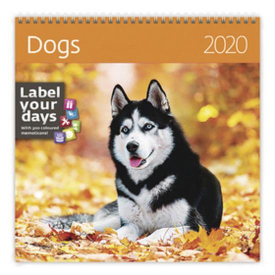 Dogs