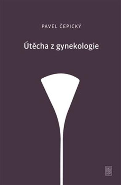 Útěcha z gynekologie - 978-80-7438-204-8