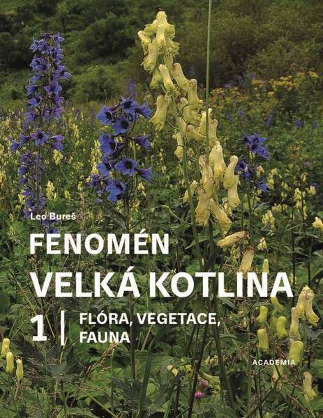 Fenomén Velká kotlina 1 - 9788020032140