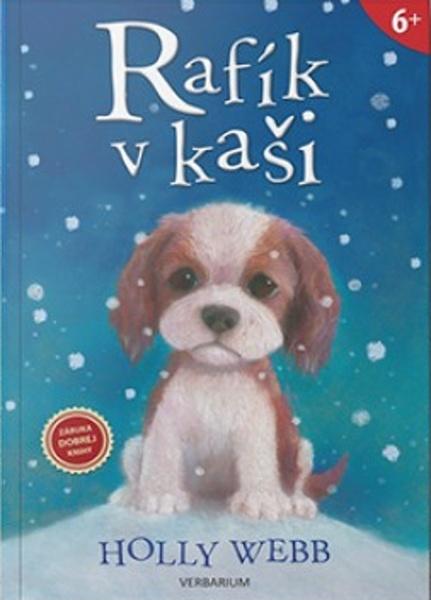 Rafík v kaši - 978-80-89956-54-8