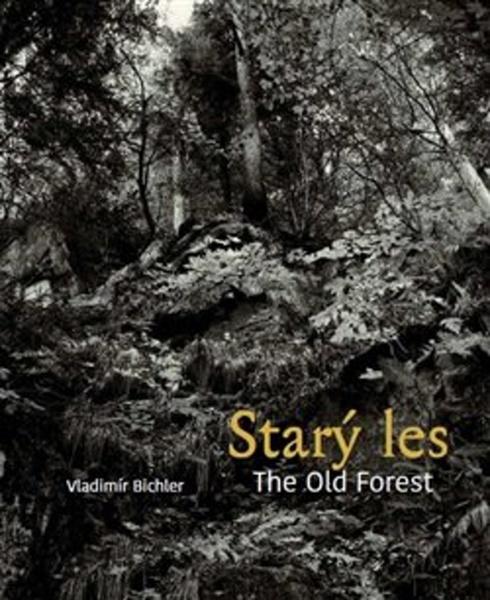 Starý les / The Old Forest - 978-80-7437-284-1