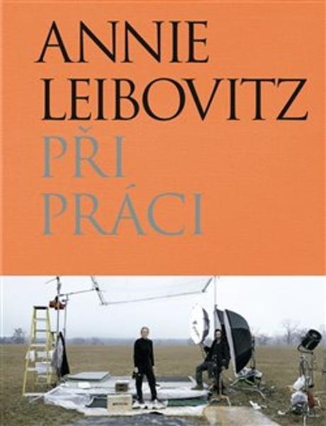 Při práci - 978-80-257-2774-4