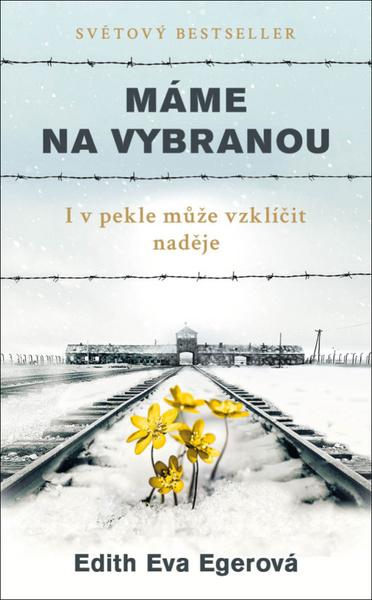 Máme na vybranou - 978-80-7252-829-5