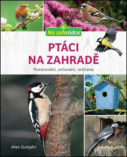 Ptáci na zahradě - 978-80-7617-954-7