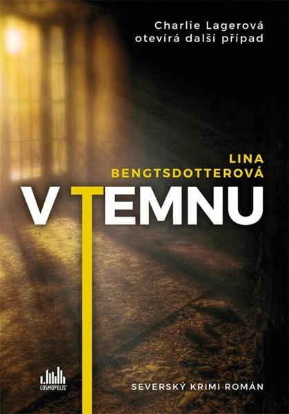 V temnu - 978-80-271-0857-2