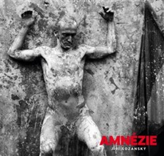 Amnézie - 978-80-904962-6-2