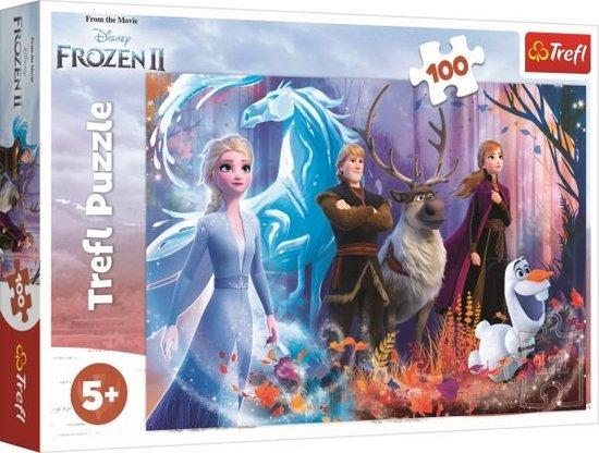 TREFL Puzzle Ledové království 2: Mrazivá magie 100 dílků - 16366