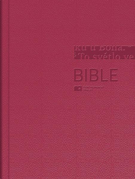 Bible - 978-80-7545-090-6
