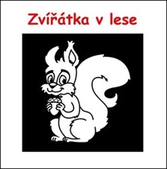 Zvířátka v lese - 978-80-7551-149-2