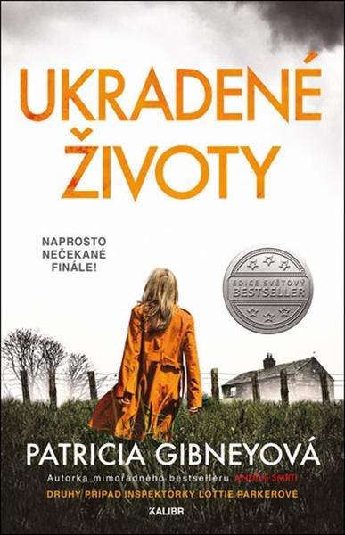 Ukradené životy - 978-80-7617-923-3
