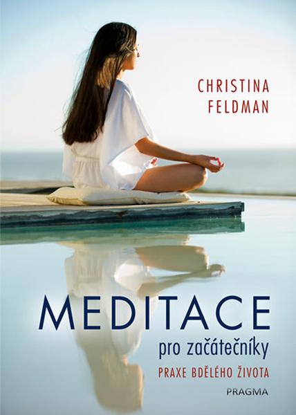 Meditace pro začátečníky - 978-80-7617-877-9