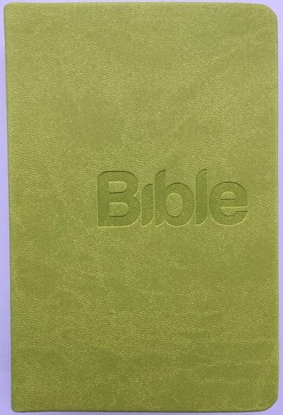 Bible - 978-80-87282-49-6